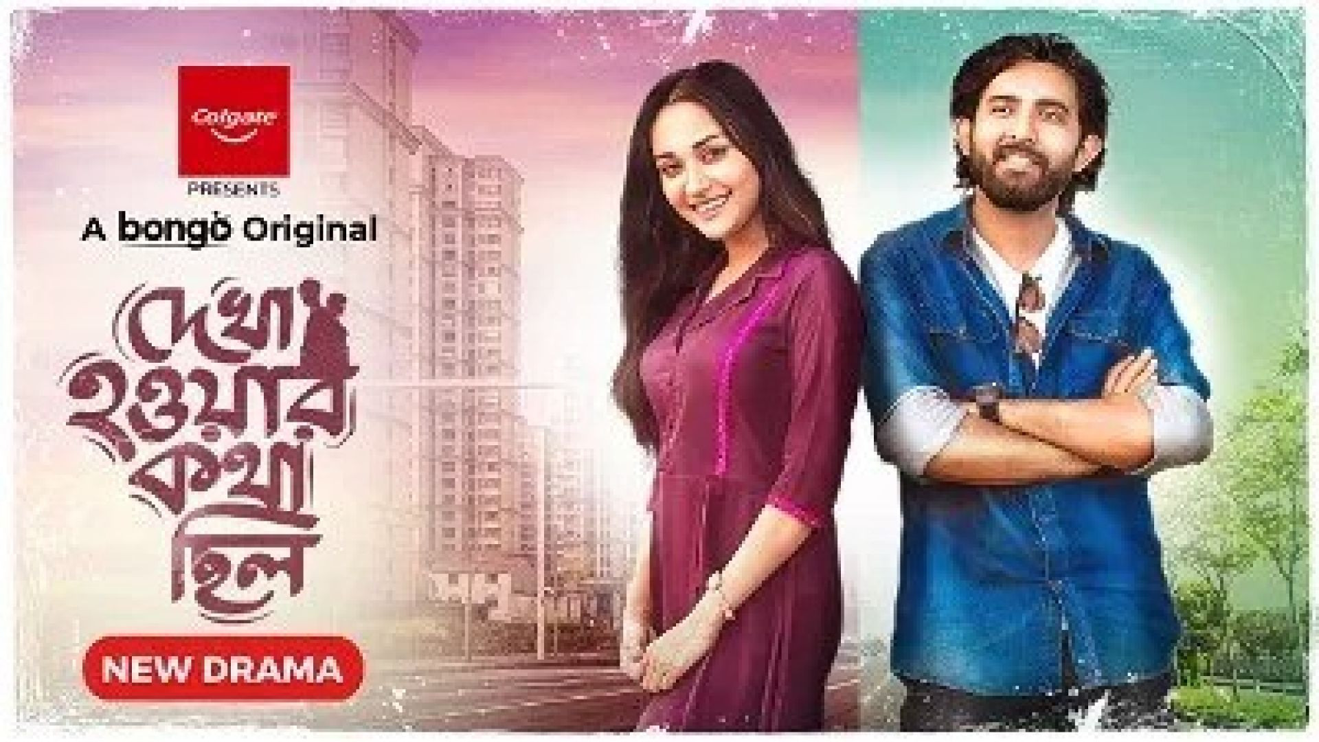 Dekha Howar Kotha Chilo (2024) Bengali Bongo WEB-DL 480P
